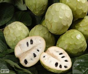 puzzel Cherimoya