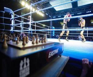 puzzel Chess Boxing is een hybride sport die combineert met boksen schaken in wisselende rondes.