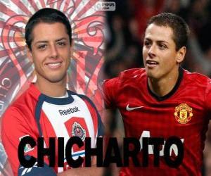 puzzel Chicharito