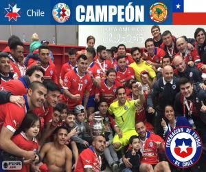 puzzel Chili, Copa America 2015 kampioen