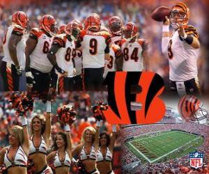 puzzel Cincinnati Bengals