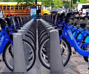 puzzel Citi Bike, New York