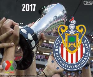 puzzel Club Deportivo Guadalajara, Clausura 2017 kampioen