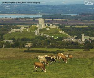 puzzel Corfe Castle, Engeland