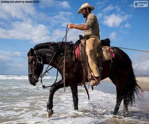 puzzel Cowboy door de zee