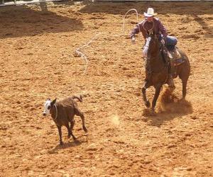 puzzel Cowboy op een paard en het vangen van een hoofd van vee met de lasso