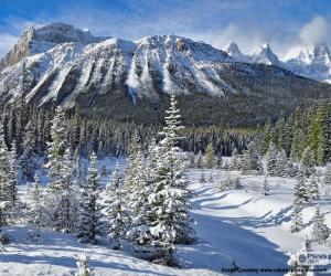 puzzel Crowfoot Mountain, Canada