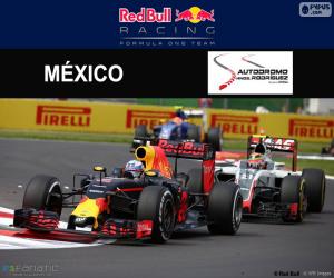 puzzel Daniel Ricciardo, de Mexicaanse Grand Prix 2016