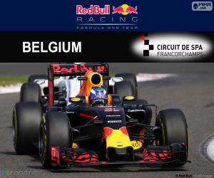 puzzel Daniel Ricciardo, GP België 2016