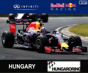 puzzel Daniel Ricciardo G.P Hongarije 2015