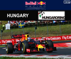 puzzel Daniel Ricciardo, GP Hongarije 2016