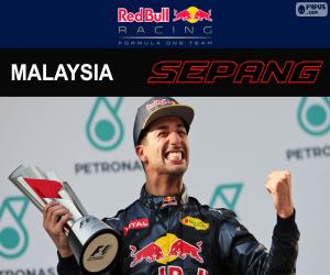 puzzel Daniel Ricciardo, Grand Prix van Maleisië 2016