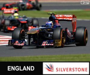 puzzel Daniel Ricciardo - Toro Rosso - Silverstone, 2013