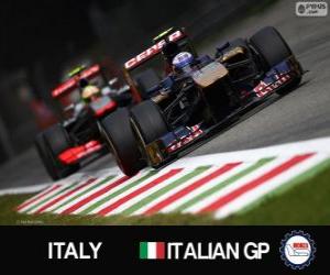 puzzel Daniel Ricciardo - Toro Rosso - Monza, 2013