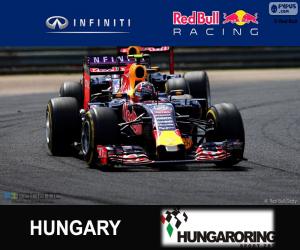 puzzel Daniil Kvyat G.P Hongarije 2015