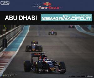 puzzel Daniil Kvyat, Grand Prix van Abu Dhabi 2016