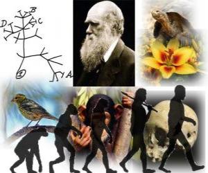 puzzel Darwin Dag, werd Charles Darwin geboren op 12 februari 1809. Darwin boom, de eerste opzet van zijn evolutietheorie