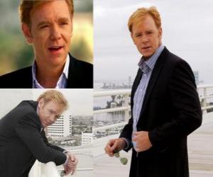 puzzel David Caruso