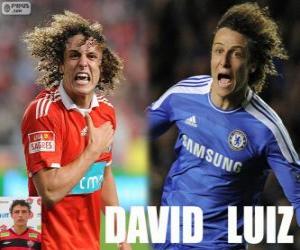 puzzel David Luiz