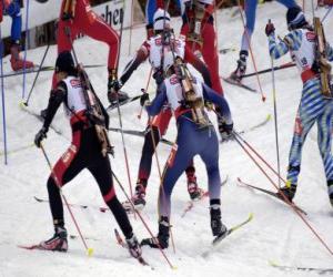 puzzel De biatlon in een wintersport van het combineren van cross-country skiën met een schietwedstrijd.