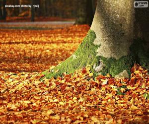 puzzel De bladeren van de herfst op de grond