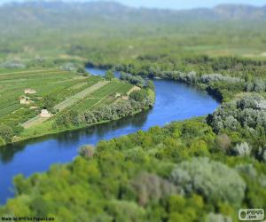 puzzel De Ebro, Tarragona