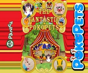 puzzel De fantastische Pokopets