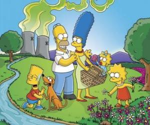 puzzel De Simpson familie op een picknick dag