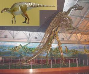 puzzel De Zhuchengosaurus is een van de grootste bekende hadrosaurids