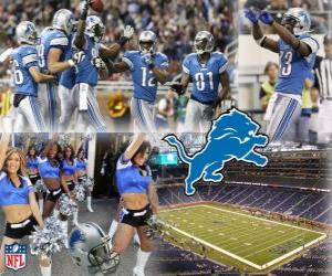 puzzel Detroit Lions