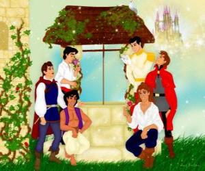 puzzel Disney Princes