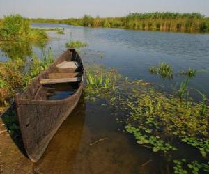 puzzel Donau Delta, de delta grootste en best bewaarde in Europa. Roemenië.