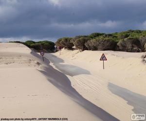 puzzel Duinen, weg