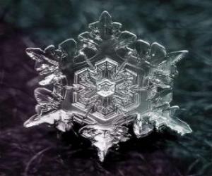 puzzel Een kleine ijskristal sneeuwvlokken vorm