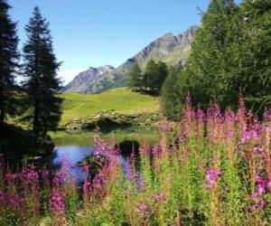 puzzel Een meer op de voorgrond bloemen en hoge berg kantoor