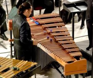 puzzel Een vibrafoon is een muziekinstrument in de categorie slagwerk