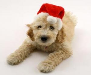 puzzel Elegant puppy voor Kerstmis feesten met een hoed