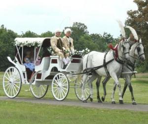 puzzel Elegante paard en vervoer