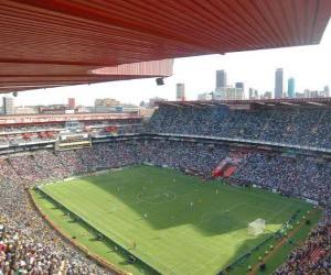 puzzel Ellis Park Stadium (61.639), Johannesburg