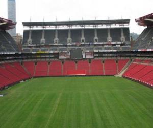 puzzel Ellis Park Stadium (61.639), Johannesburg