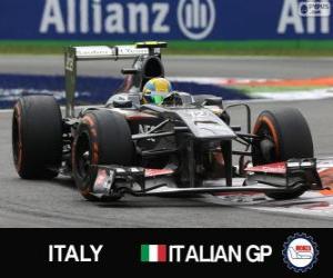 puzzel Esteban Gutiérrez - Sauber - Monza, 2013