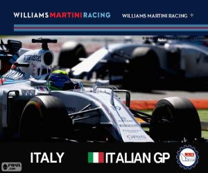puzzel F. Massa, GP van Italië 2015