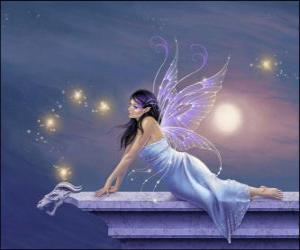 puzzel Fairy in een sterrenhemel