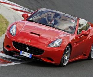 puzzel Felipe Massa het besturen van een Ferrari California - Hungaroring 2010 -