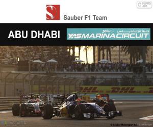 puzzel Felipe Nasr, Grand Prix van Abu Dhabi 2016