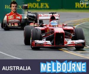 puzzel Fernando Alonso - Ferrari - Grand Prix van Australië 2013, 2º ingedeeld