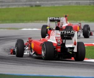puzzel Fernando Alonso - Ferrari - Sepang 2010