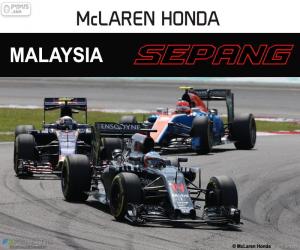 puzzel Fernando Alonso, Grand Prix van Maleisië 2016