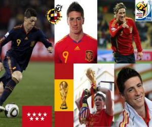 puzzel Fernando Torres (Het maakte ons droom) Spaanse nationale elftal vooruit