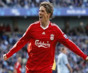 puzzel Fernando Torres viert een doelpunt